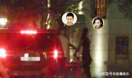 西藏客栈爆料事件真相视频,真相背后的曲折历程