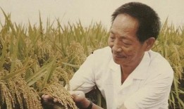 网友爆料袁隆平视频大全,一生耕耘，造福亿万苍生