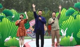 王雁林最新爆料新闻视频,揭秘事件背后惊人真相